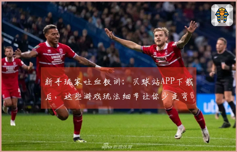 新手玩家吐血教训:买球站APP下载后,这些游戏玩法细节让你少走弯路